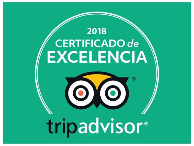 Logo Tripadvidor