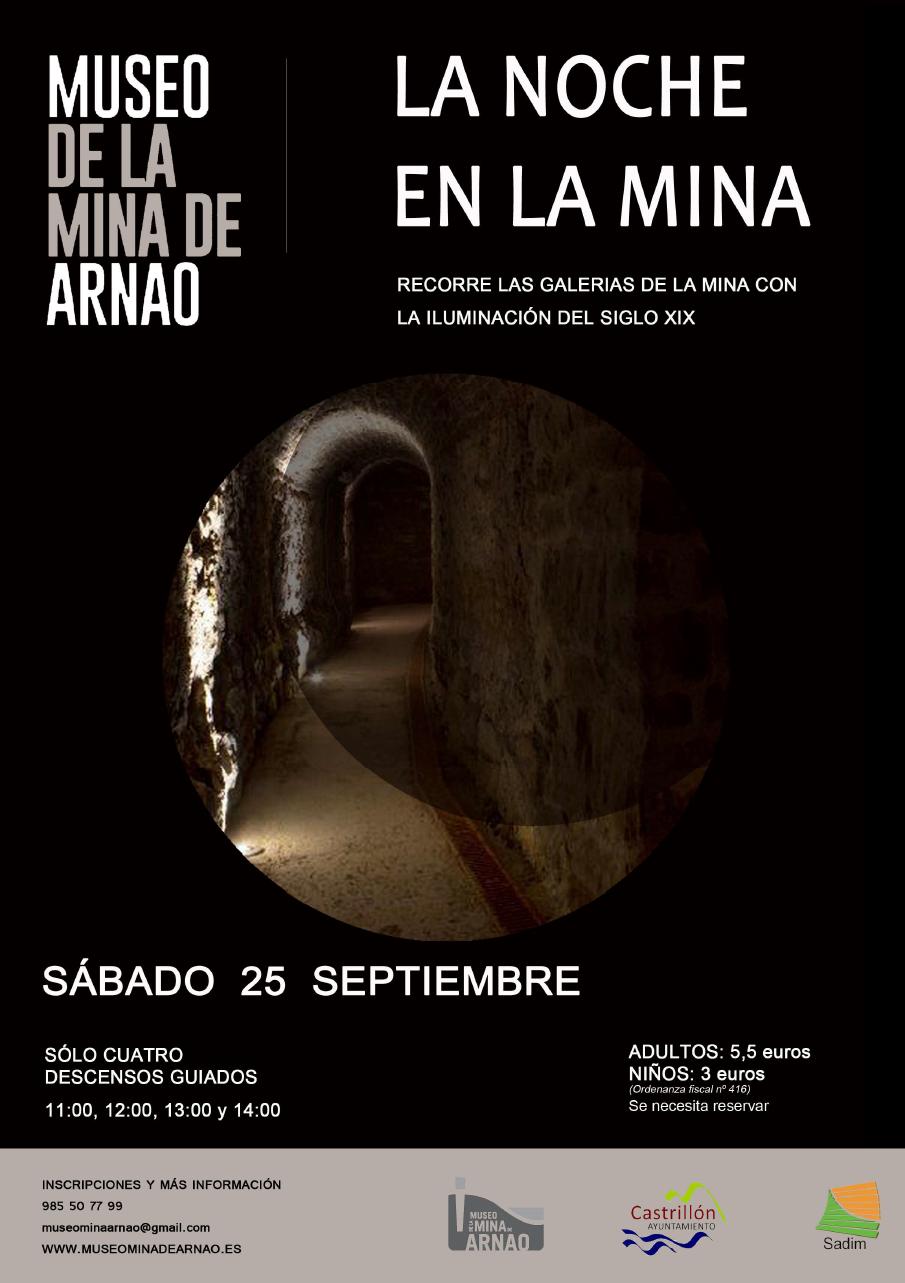 Cartel La Noche En La Mina